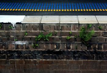 �齫��Ͳ�ӱ�ʤ�ھ���Ƶ����ʶ����ʵ��дȫ����ĸ���ƪ��...